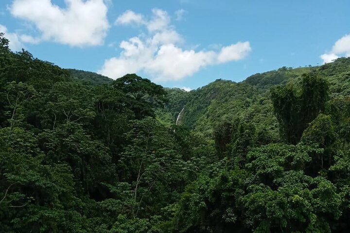 Private Tour in Miches with La Jarda Waterfall Experience - Photo 1 of 15
